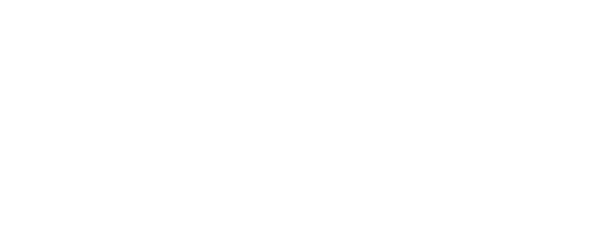 Elettrica PRO